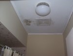 Ceiling mold bathroom fan 390x302