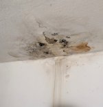 Ceiling water leak 322x335