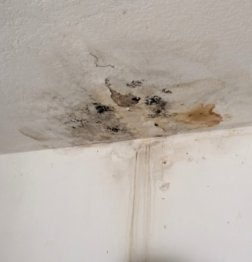 Ceiling Water Leak Finding The Leak Repairs