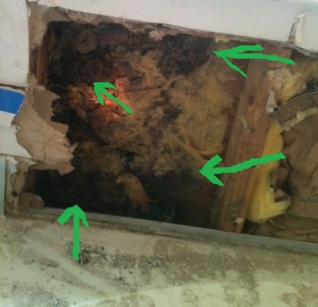 Getting Rid Of Mold ............Removal Protocol, Products ...