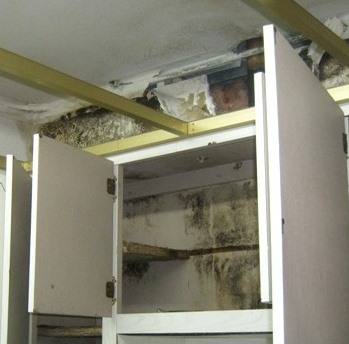 Mold behind kitchen cabinets