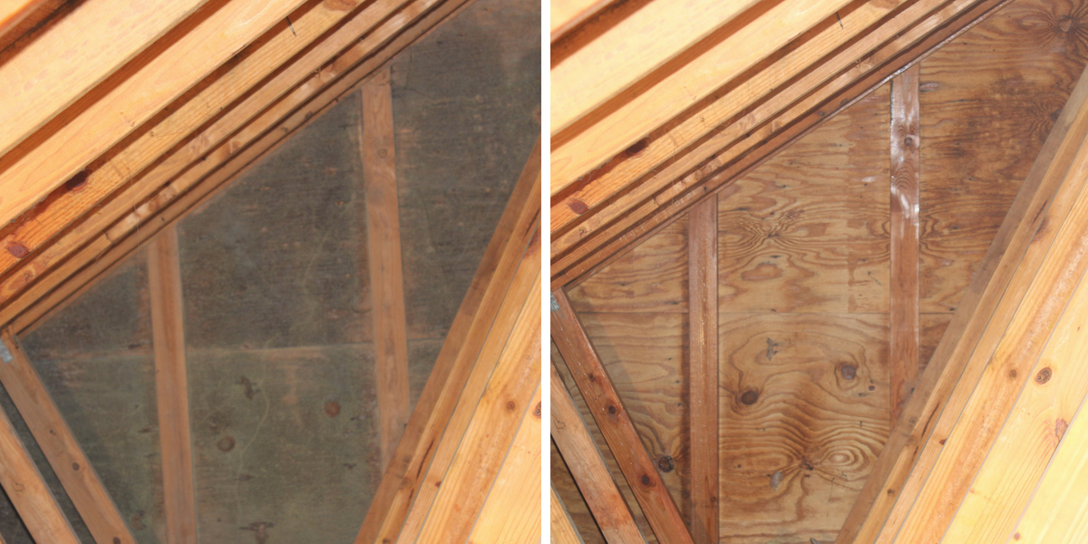 How To Prevent Attic Mold From Returning