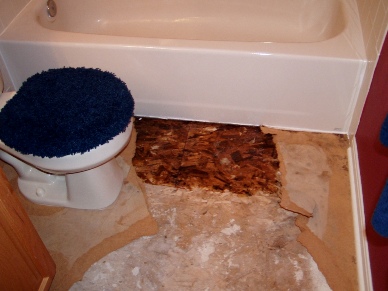 What to know about bathroom mold and when you should worry