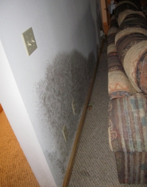 Black mold behind couch
