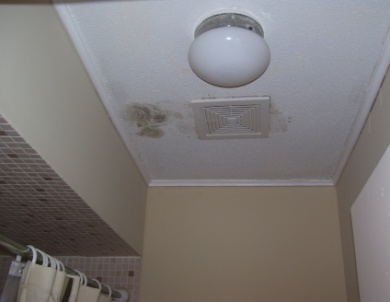 Ceiling mold bathroom fan 390x302