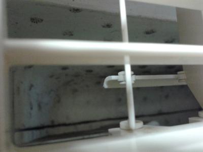 Mold inside window air conditioner