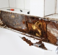 mold under bathroom tiles