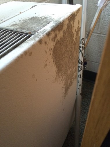 Mold in College Dorms