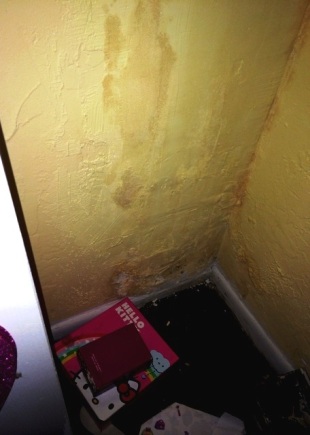 Mold in Closet