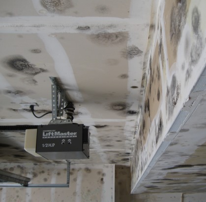 Mold In The Garage Health Risks Removal