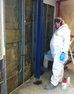 Mold Remediation