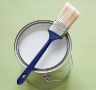Using Mold Resistant Paint
