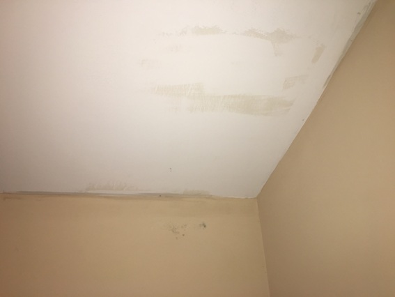 mold on walls and ceiling