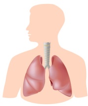Pulmonary Hemorrhage From Mold Exposure