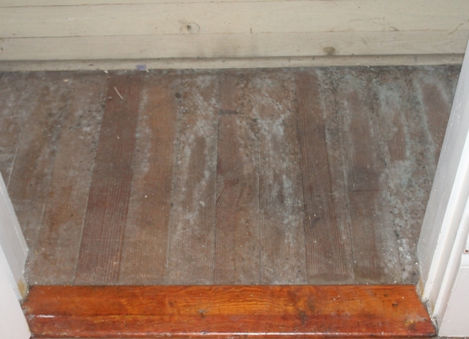 mold on wood floor under bed