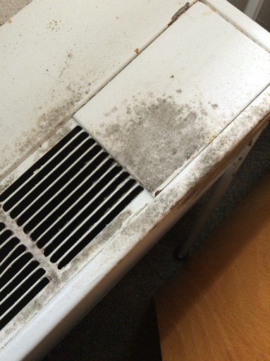 Mold on AC Unit in College Dorm