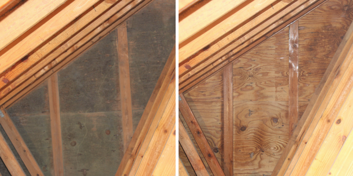 how to prevent attic mold