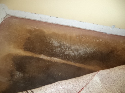 exposure to mold in the home