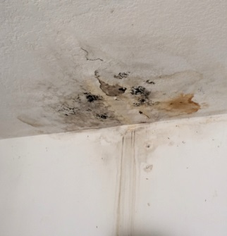 ceiling water leak