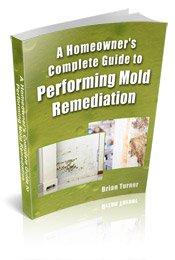 A Homeowner's Complete Guide To Performing Mold Remediation