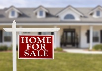 Home Selling and Mold