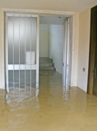 Homeowners insurance mold coverage