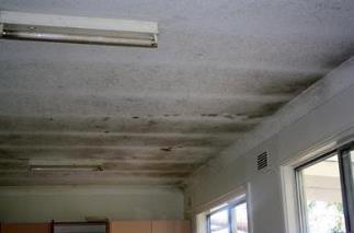 Large mold cleanup where a professional should be used.