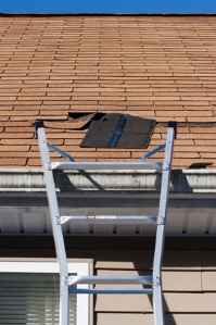 leaky roof can cause mold in a home