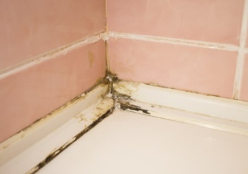 Mold bathroom corner