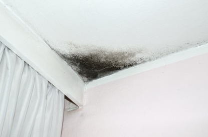 moldy ceiling