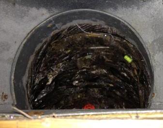 Black mold in air ducts