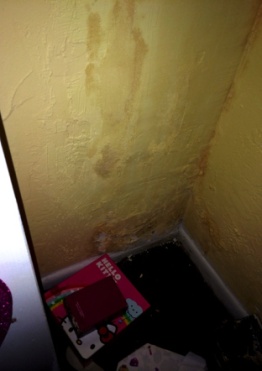 Mold in closet from water leak in wall