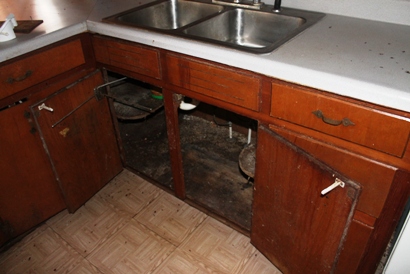 mold under kitchen sink