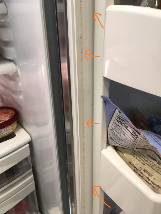 black mold in refrigerator