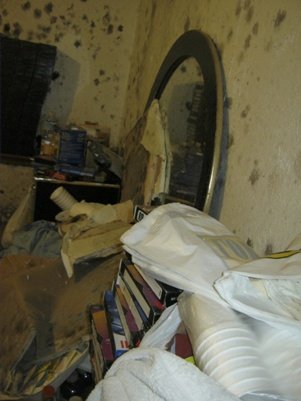 Mold in Storage Room