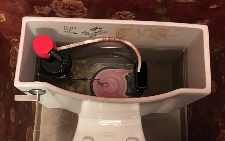 mold in toilet tank