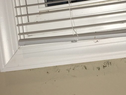 mold under window on wall