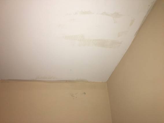 Guide To Mold On Walls Removal