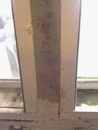 Mold by windows