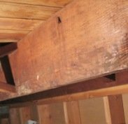 Moldy wood in basement that needs sanding