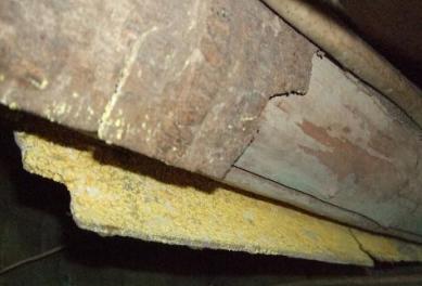 Yellow Mold in the Home
